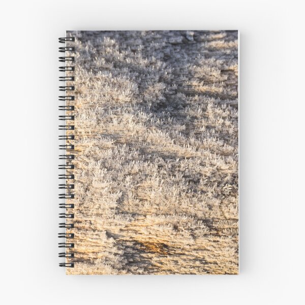Item preview, Cool Hoarfrost Formations on Driftwood designed and sold by Georgia Mizuleva.