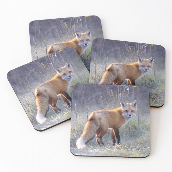 Item preview, Red Fox in Autumn designed and sold by James Cumming.