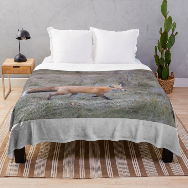 Item preview, Red Fox in the Meadow designed and sold by James Cumming.