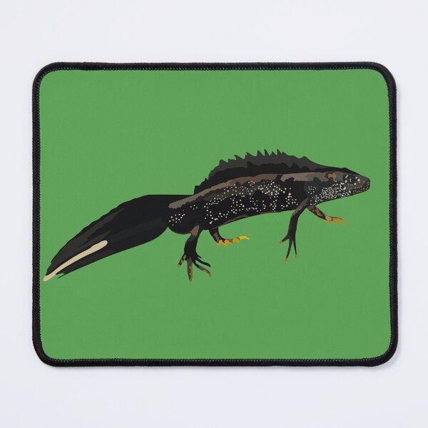 Item preview, G is for Great Crested Newt,Crested Newt Illustration – Elegant and Rare Amphibian Artwork designed and sold by PrettylittlepastelUk.