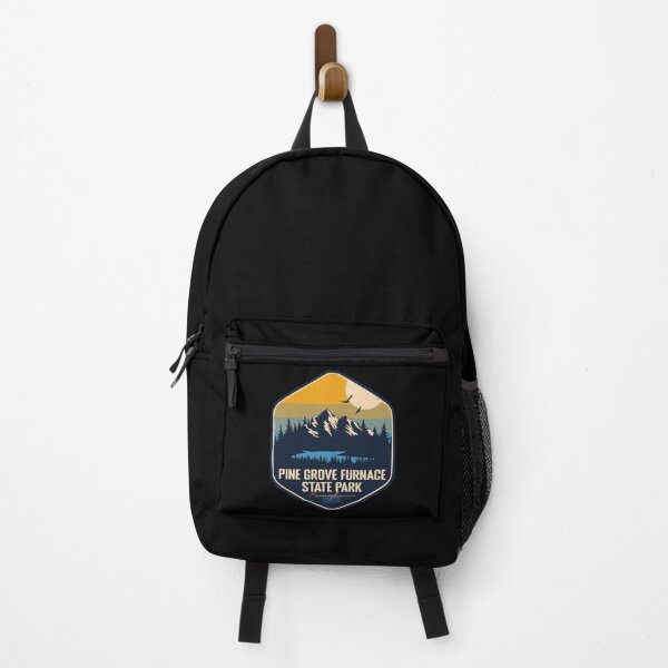 Item preview, Pine Grove Furnace State Park Pennsylvania Vacation PA Souvenir Retro Badge designed and sold by mountainfad.