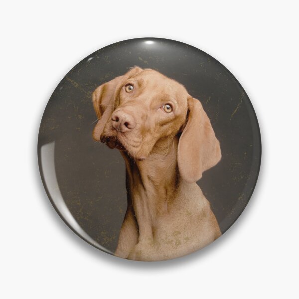 Item preview, Dog photo in retro vintage frame designed and sold by Rbnano.