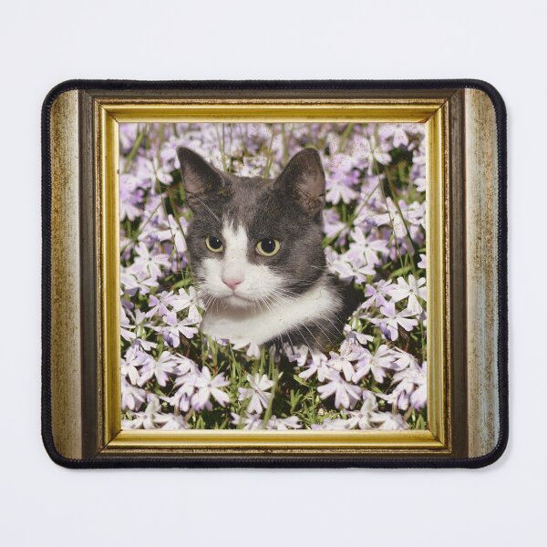 Item preview, Cat among flowers photo in retro vintage frame designed and sold by Rbnano.