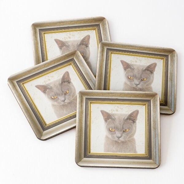 Item preview, Grey cat photo in retro vintage frame designed and sold by Rbnano.