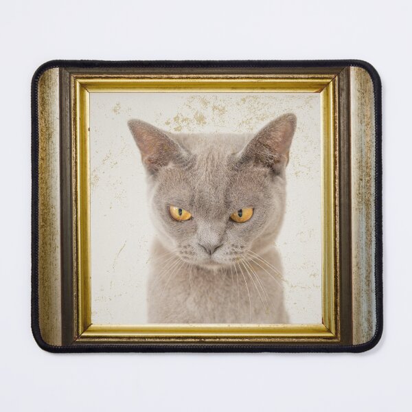 Item preview, Grey cat photo in retro vintage frame designed and sold by Rbnano.