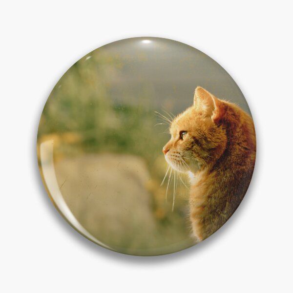 Item preview, Orange cat photo in retro vintage frame designed and sold by Rbnano.