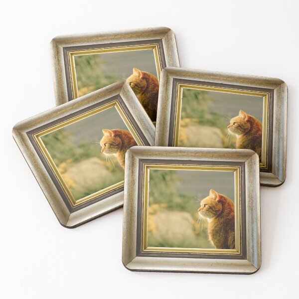 Item preview, Orange cat photo in retro vintage frame designed and sold by Rbnano.