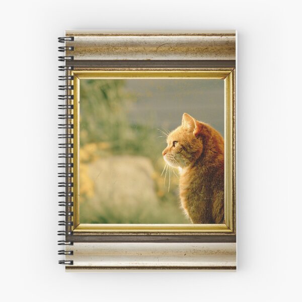 Item preview, Orange cat photo in retro vintage frame designed and sold by Rbnano.