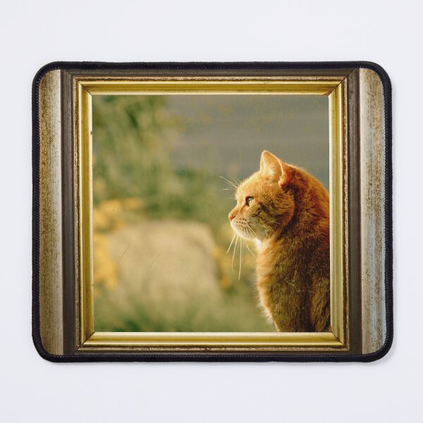 Item preview, Orange cat photo in retro vintage frame designed and sold by Rbnano.