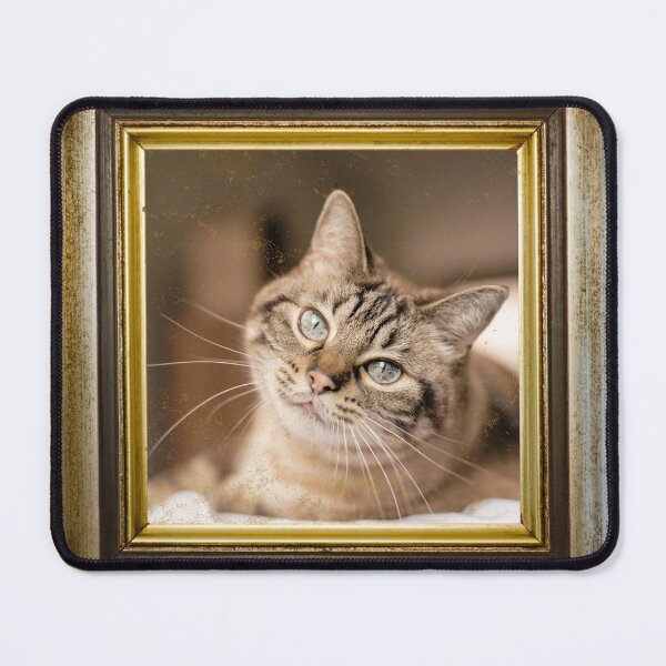 Item preview, Cute cat photo in retro vintage frame designed and sold by Rbnano.