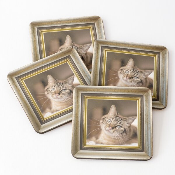 Item preview, Cute cat photo in retro vintage frame designed and sold by Rbnano.