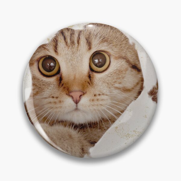 Item preview, Cat photo in retro vintage frame designed and sold by Rbnano.