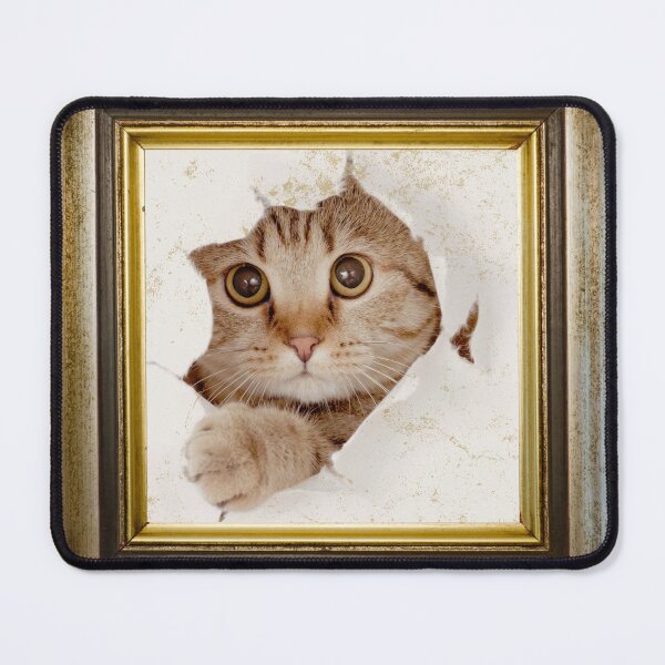 Item preview, Cat photo in retro vintage frame designed and sold by Rbnano.