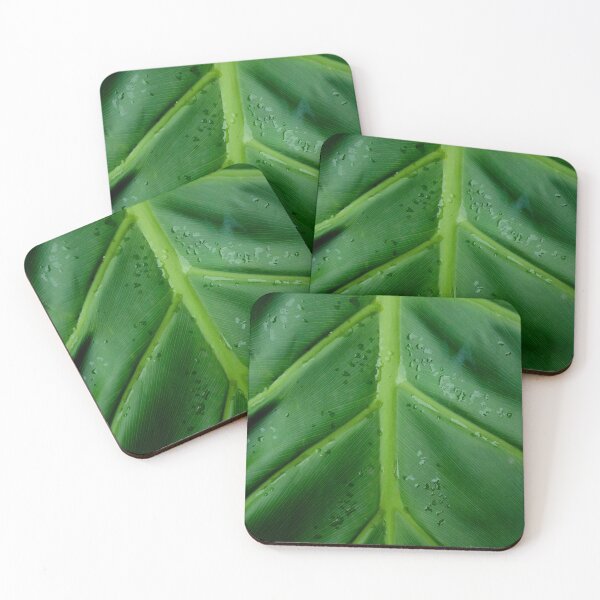 Item preview, Close-up of a Big Plant Leaf, macro botanical photography designed and sold by nachodramis.