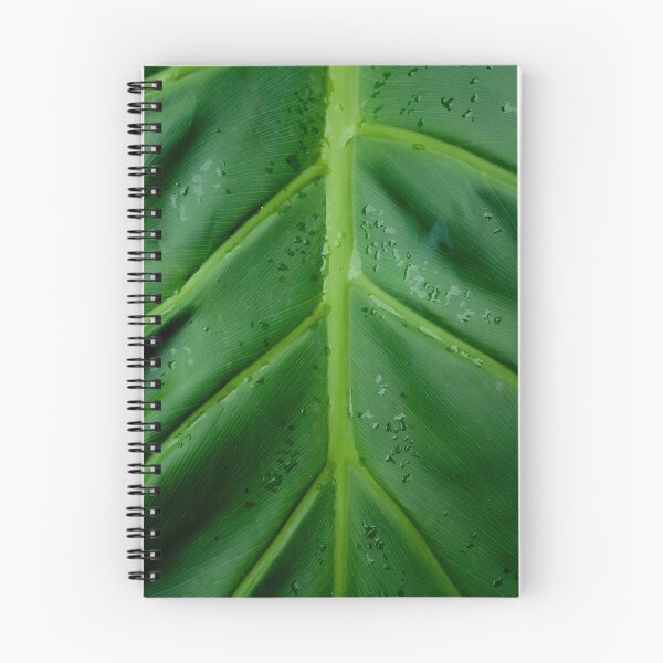 Item preview, Close-up of a Big Plant Leaf, macro botanical photography designed and sold by nachodramis.