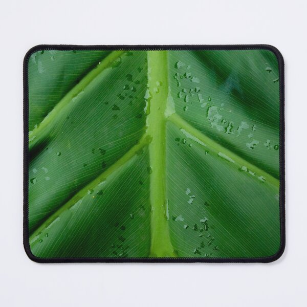 Item preview, Close-up of a Big Plant Leaf, macro botanical photography designed and sold by nachodramis.
