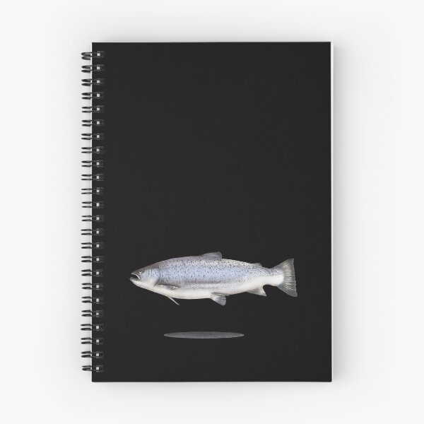 Aperçu de l'œuvre Illustration poisson truite de mer avec ombre créée et vendue par Sina Holste.