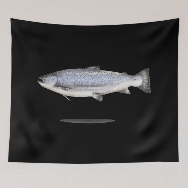 Item preview, Illustration fish sea trout with shadow designed and sold by Sina Holste.