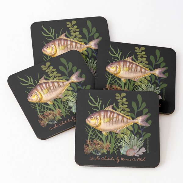 Item preview, Scomber Edentulus by Marcus Elieser Bloch designed and sold by smirey designs.