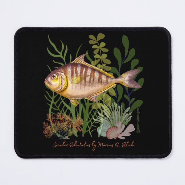 Item preview, Scomber Edentulus by Marcus Elieser Bloch designed and sold by smirey designs.