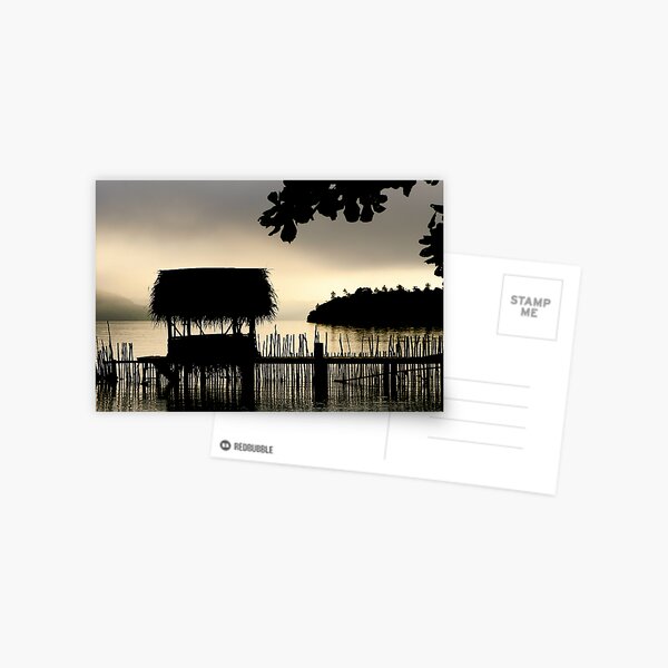 Tropical Morning Mist Postcard