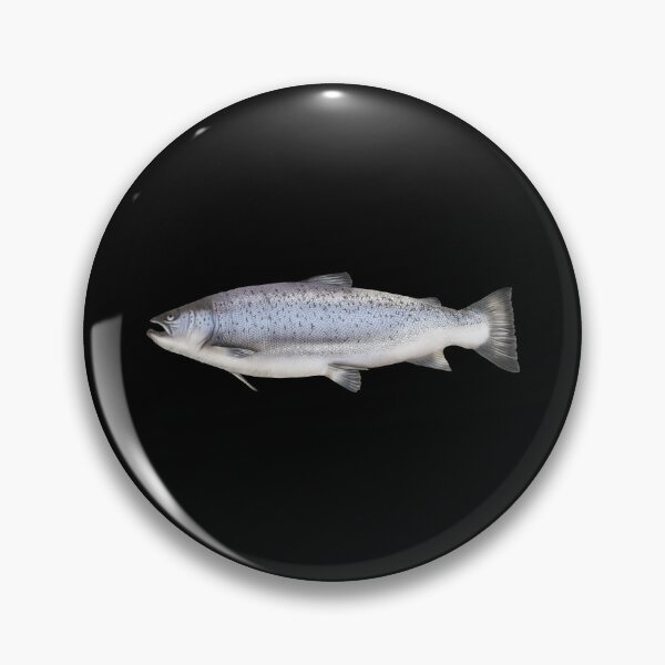 Item preview, Illustration fish sea trout designed and sold by Sina Holste.