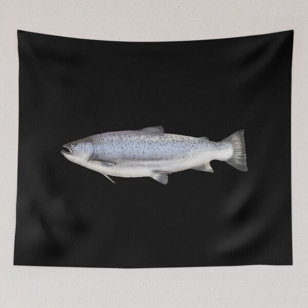 Item preview, Illustration fish sea trout designed and sold by Sina Holste.