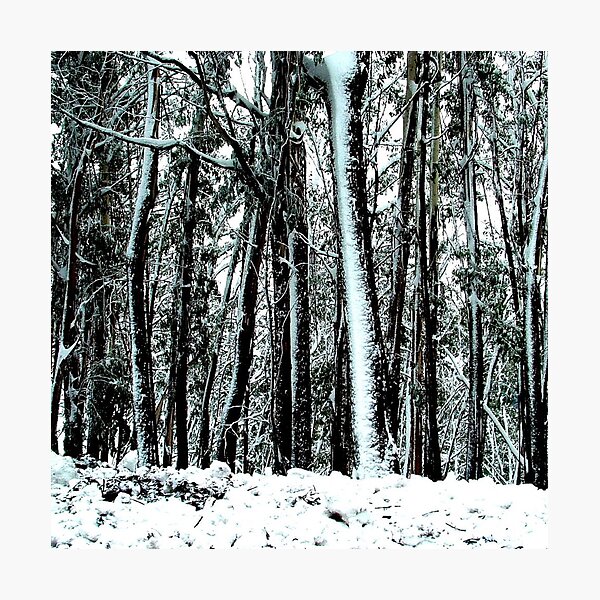 Item preview, Trees in the snow, Mt Hotham designed and sold by Squid and Blanket  Designs.