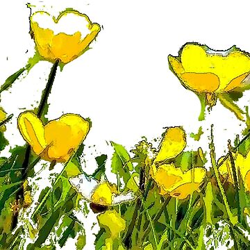 Artwork thumbnail, Buttercups by designbywhacky