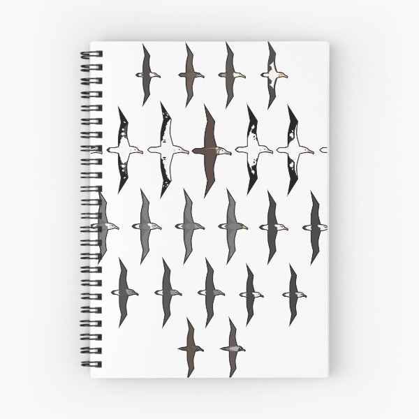 Item preview, Albatrosses of the World designed and sold by Daniel Terrington.