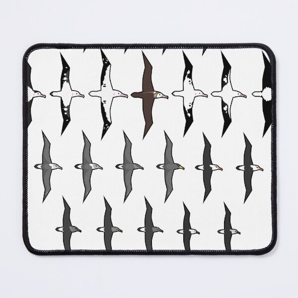 Item preview, Albatrosses of the World designed and sold by Daniel Terrington.