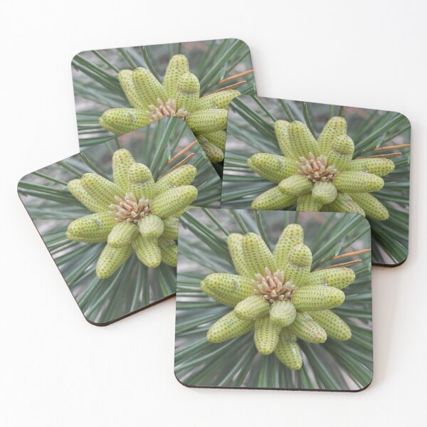 Item preview, Photo of pine tree designed and sold by Juviraga.