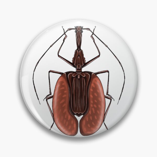 Item preview, Violin beetle designed and sold by Emily-Suel.