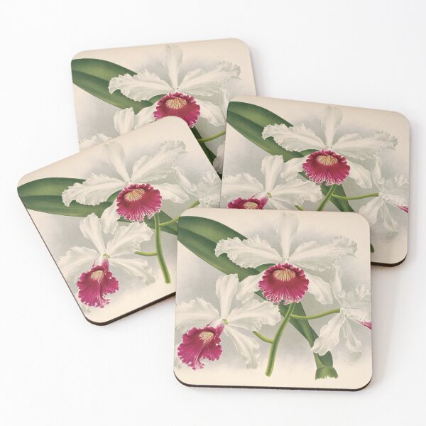 Item preview, Classic White Orchid: Vintage Appeal For Flower Lovers designed and sold by InnerCitadel.