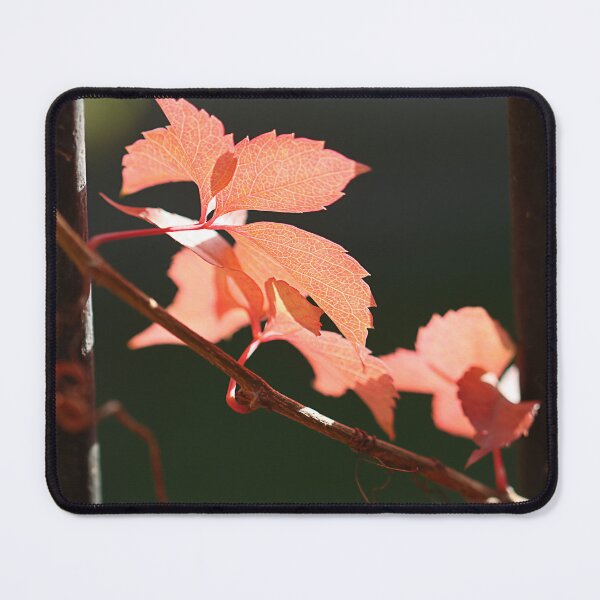 Item preview, Hard and soft. designed and sold by Paul Pasco.