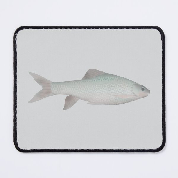 Item preview, African Scraping Feeder designed and sold by fishfolkart.