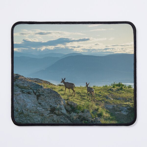Item preview, Kuipers Peak Deer designed and sold by Mullwell Photography.