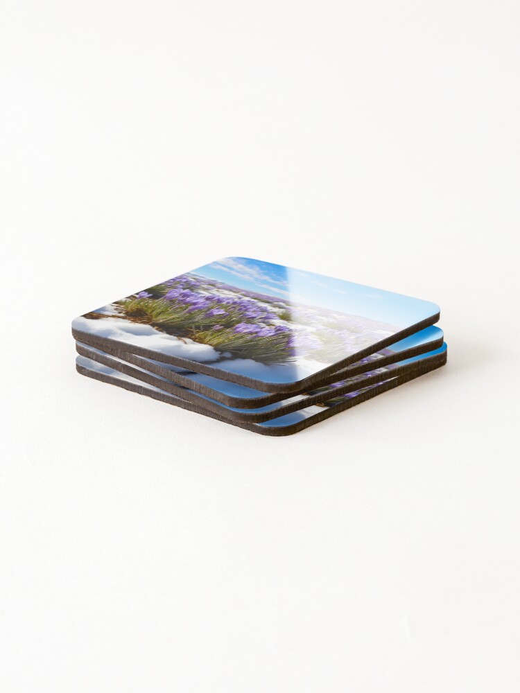 Thumbnail 4 of 5, Coasters (Set of 4), Spring designed and sold by muelleran.
