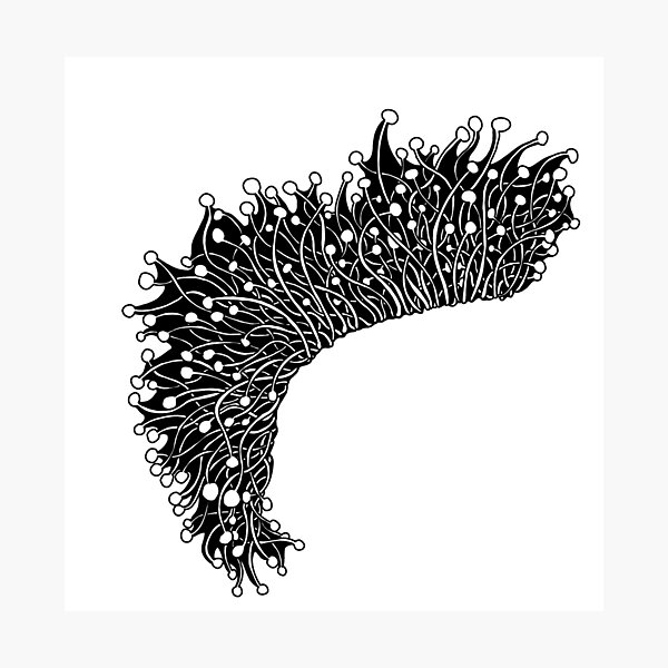 Item preview, Abstact organic drawingg  designed and sold by Monsterted28.