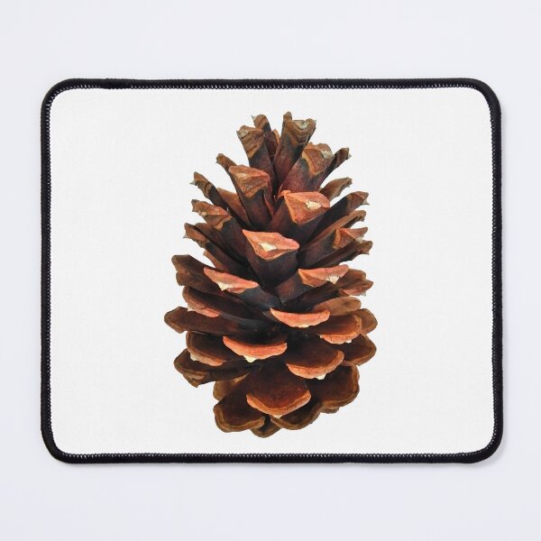 Item preview, Pinecone (Jeffery Pine) designed and sold by Tree45.