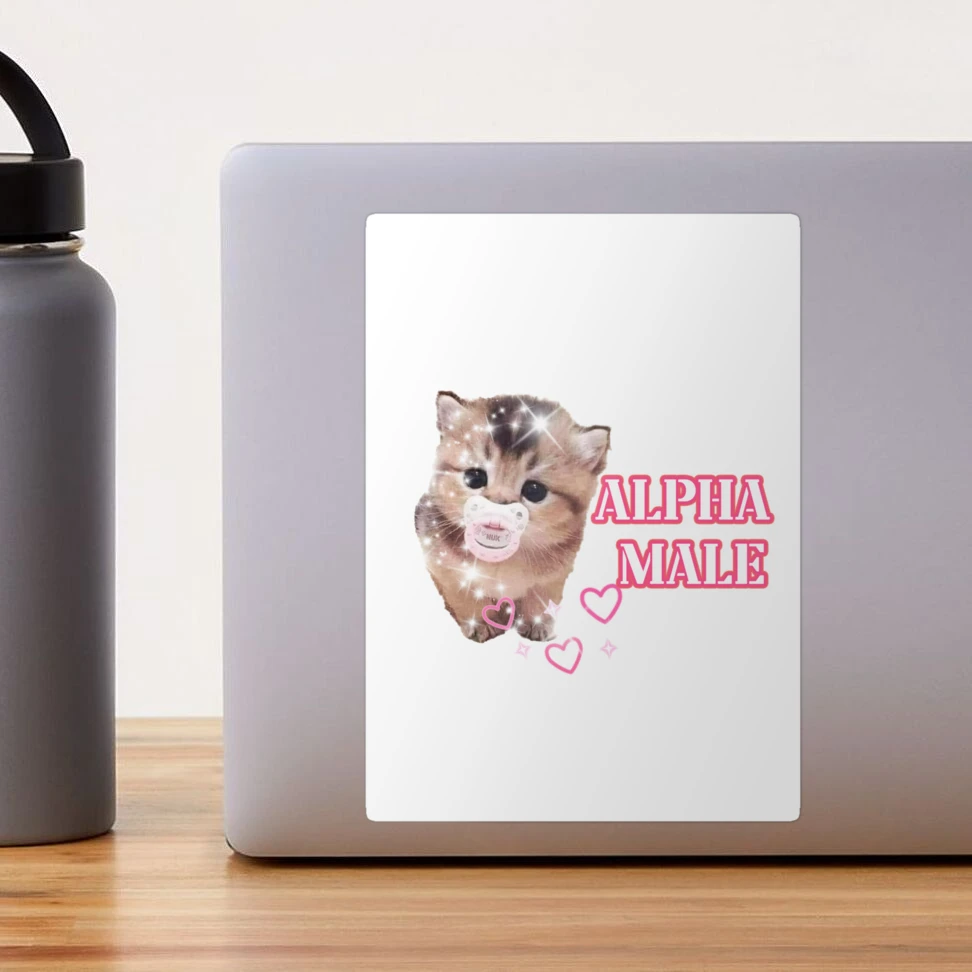 alpha male cute kitten meme