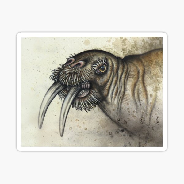 Item preview, Dürer's Walrus designed and sold by A Curious Bestiary.