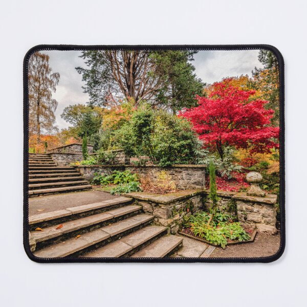 Item preview, Autumnal Garden designed and sold by AJEvans.