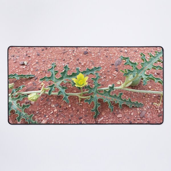 Artikelvorschau, Wüstenwildblumen entworfen und verkauft von NinthOfSilver.