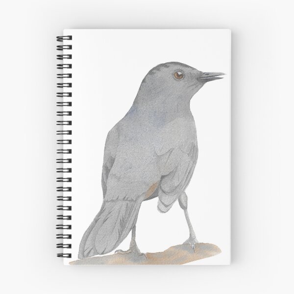 Item preview, gray Grey catbird watercolor bird portrait designed and sold by L'Atelier Oranjade.