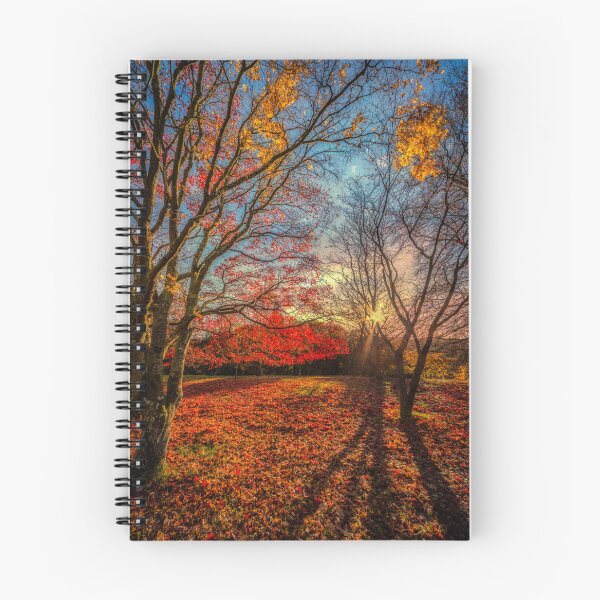 Item preview, Autumn Forest Shadows designed and sold by AJEvans.