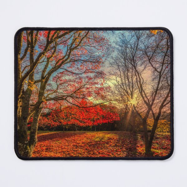 Artikelvorschau, Herbstliche Waldschatten entworfen und verkauft von AJEvans.