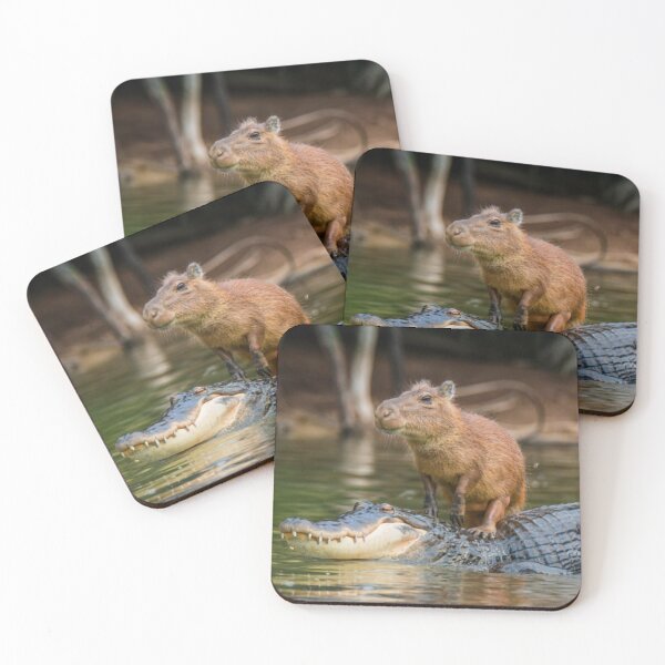 Item preview, Capybara on alligator designed and sold by PawelNature.