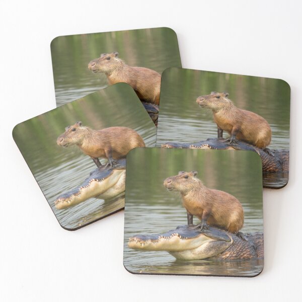 Item preview, Capybara on alligator designed and sold by PawelNature.