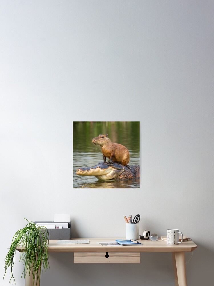 Capybara on alligator Poster